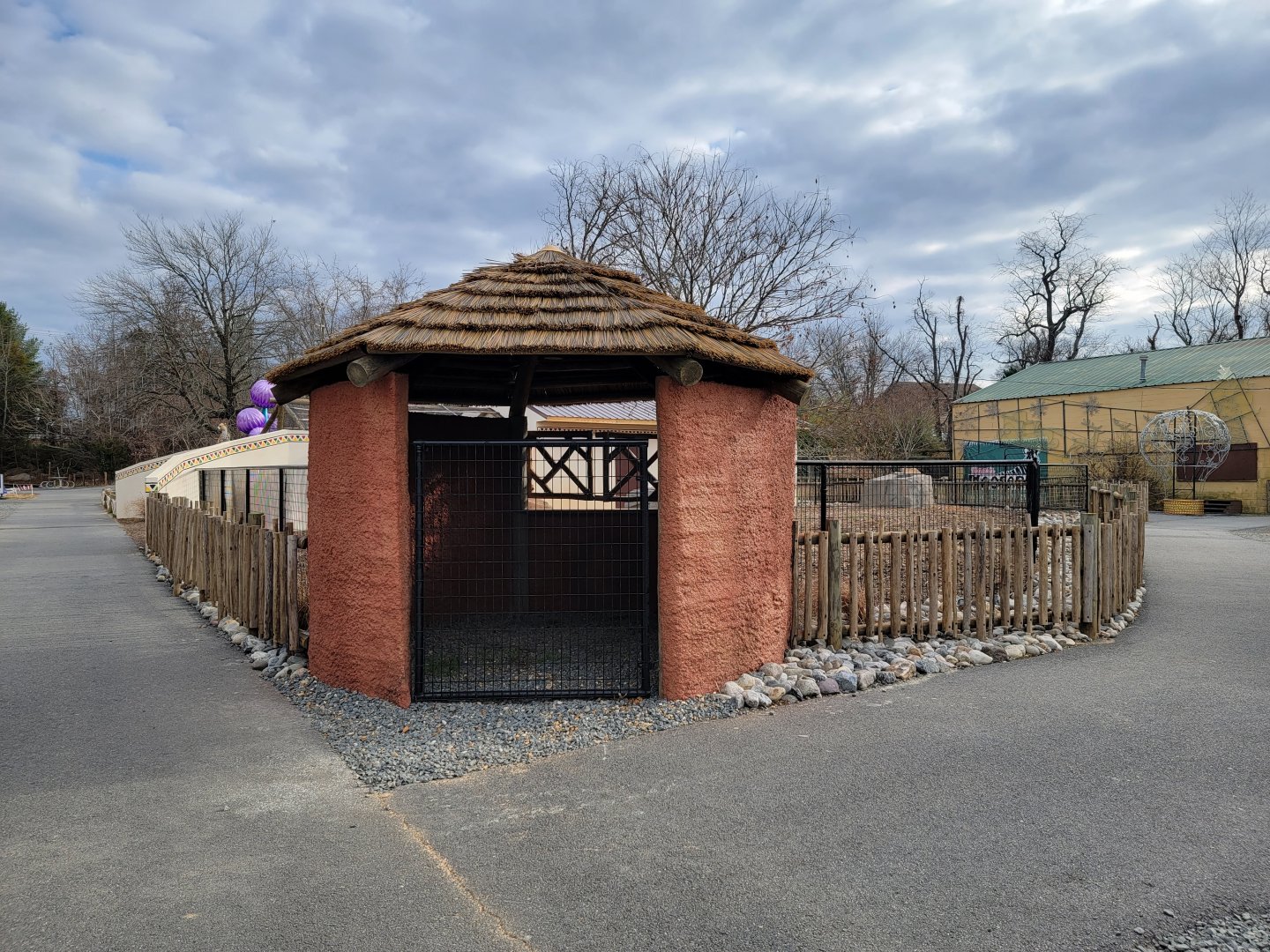 Roer's Zoofari - New red river hog exhibit