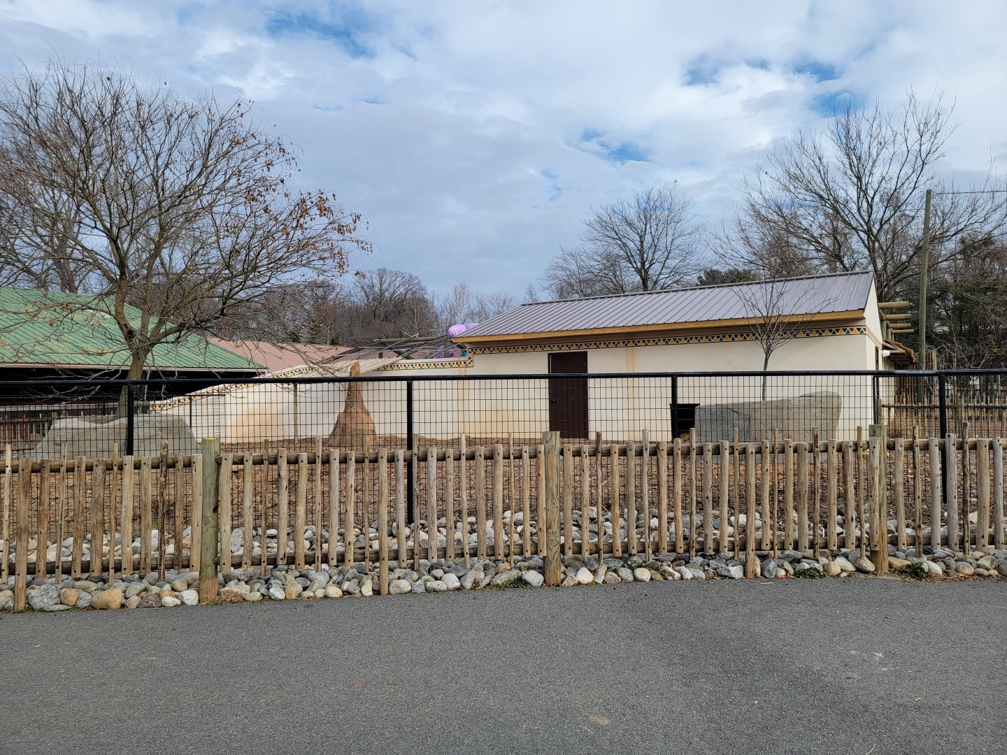 Roer's Zoofari - New red river hog exhibit