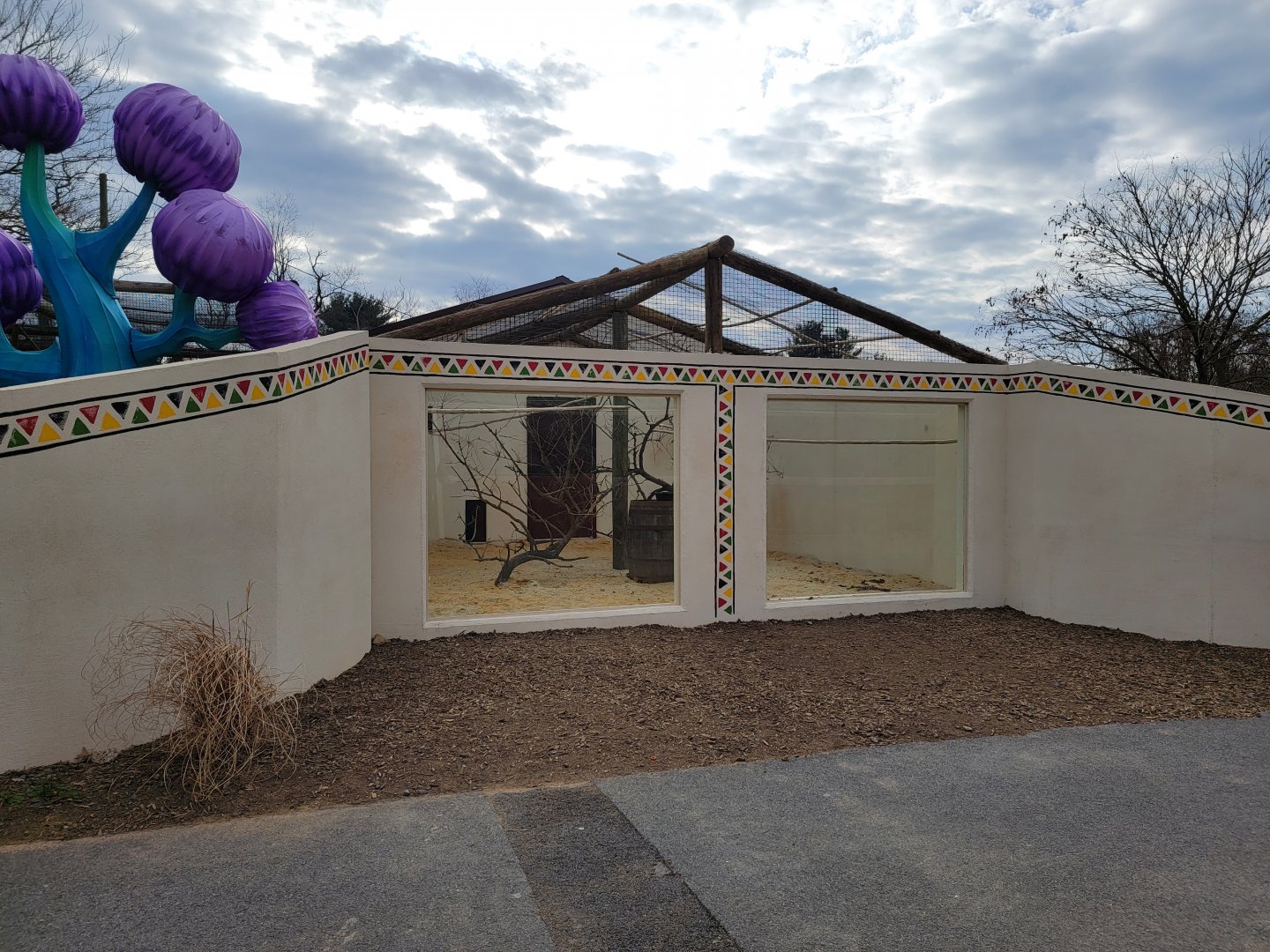 Roer's Zoofari - New silvery-cheeked hornbill exhibit