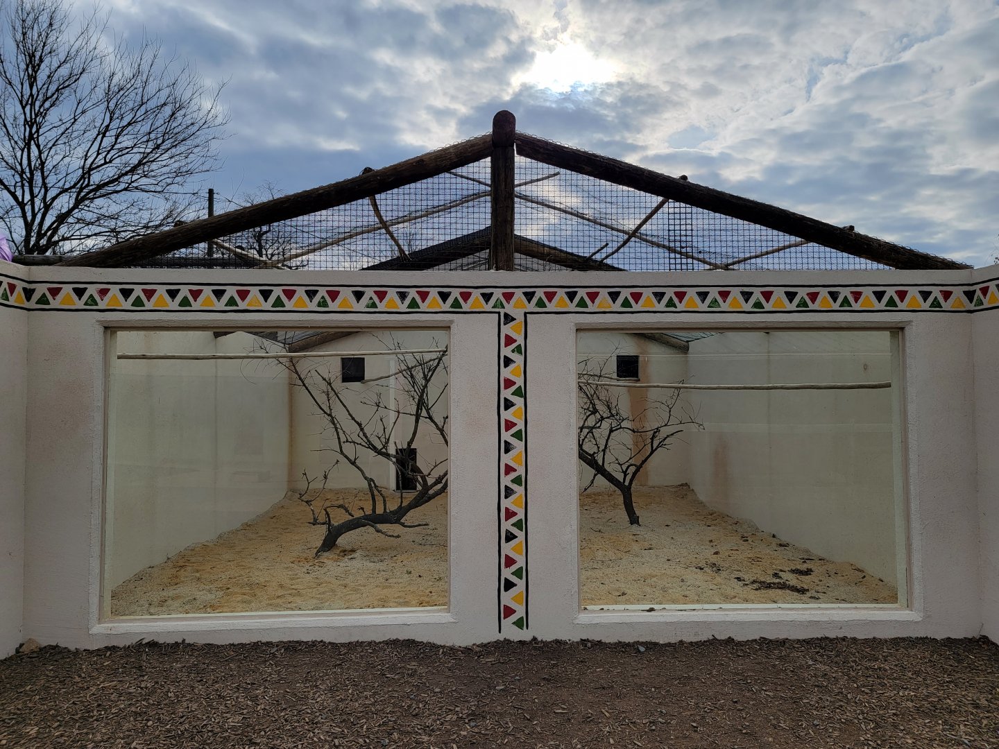 Roer's Zoofari - New silvery-cheeked hornbill exhibit