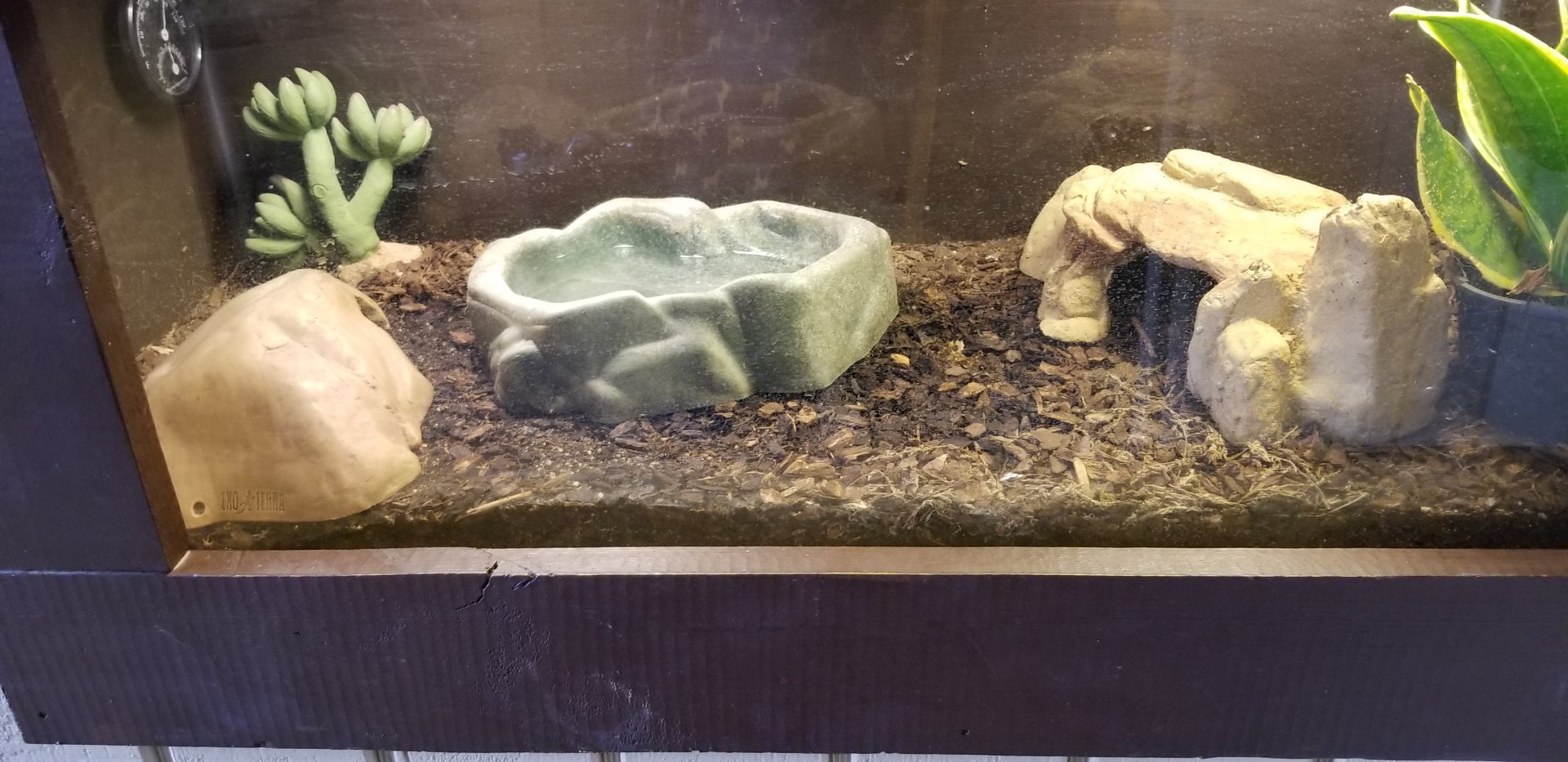 Roer's Zoofari - no label