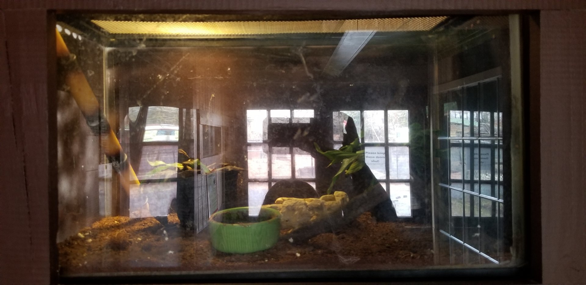 Roer's Zoofari - no label