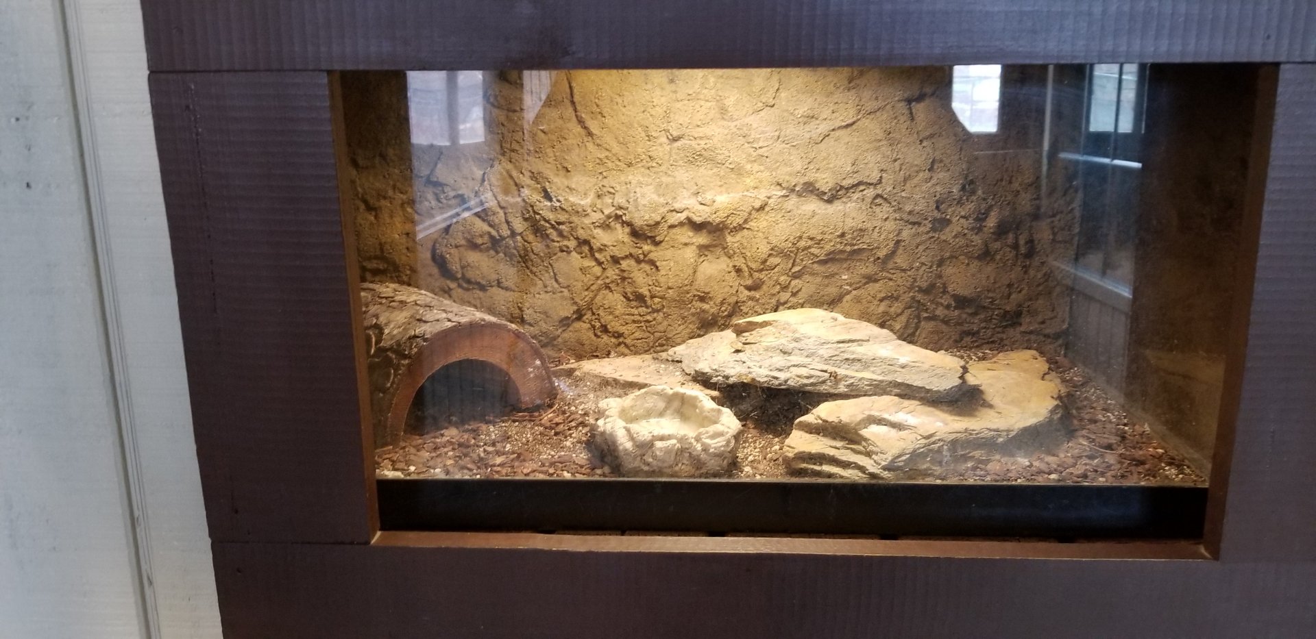 Roer's Zoofari - no label