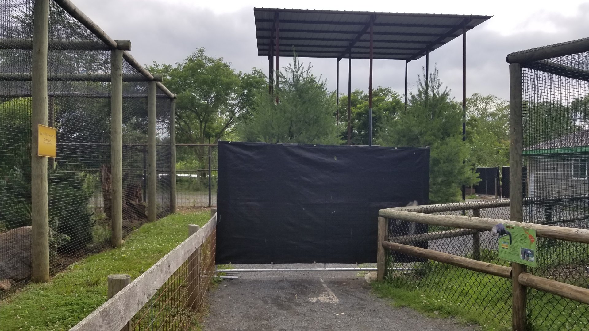 Roer's Zoofari - Path by giraffe yard/front of tayra blocked