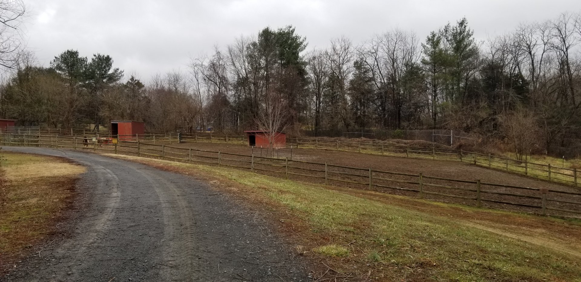 Roer's Zoofari - ponies