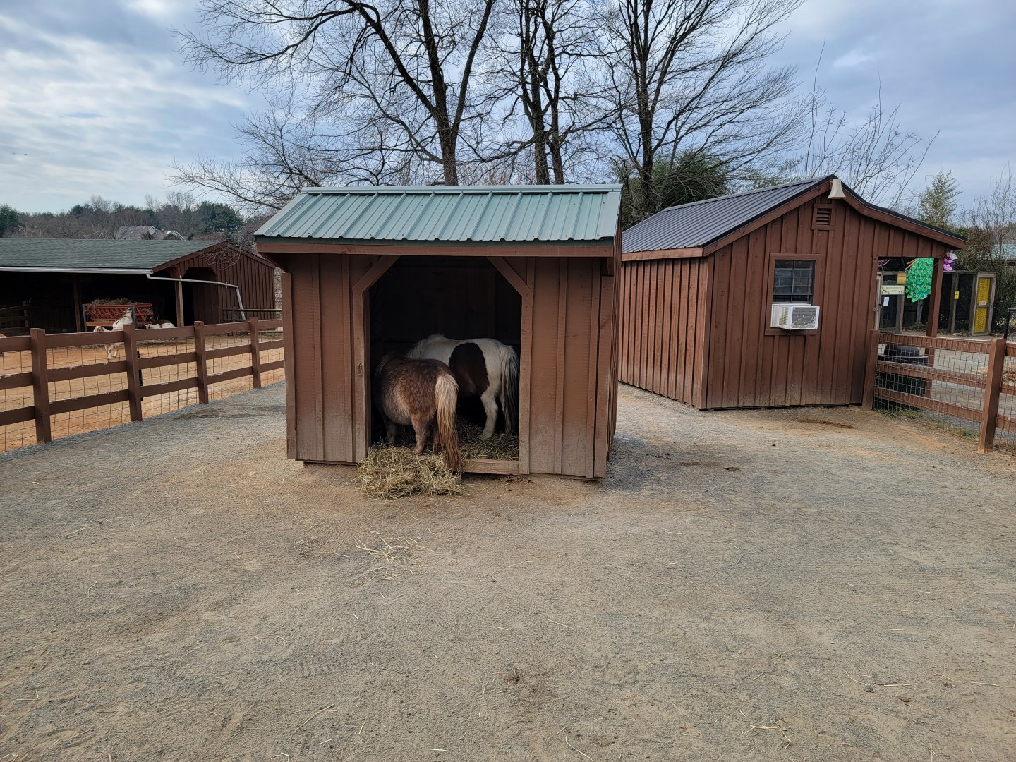 Roer's Zoofari - Ponies