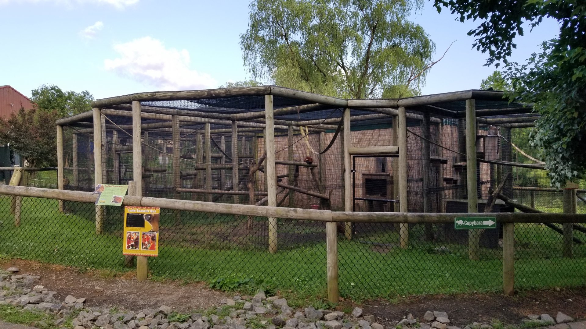 Roer's Zoofari - Primates