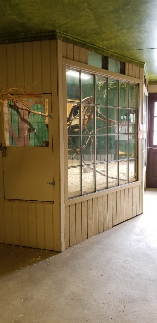 Roer's Zoofari - rainbow lorikeets