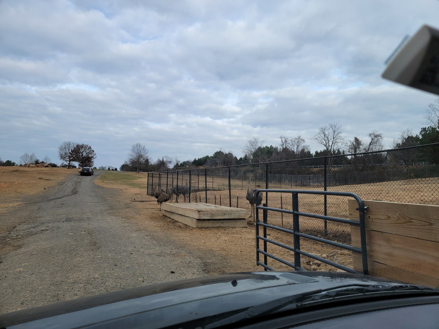 Roer's Zoofari - Ratites inside entrance