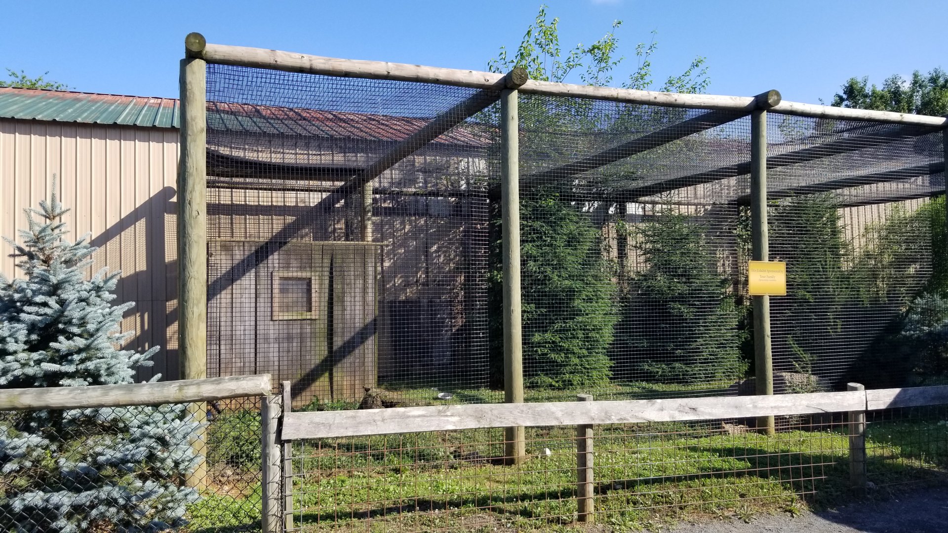 Roer's Zoofari - SA Coati