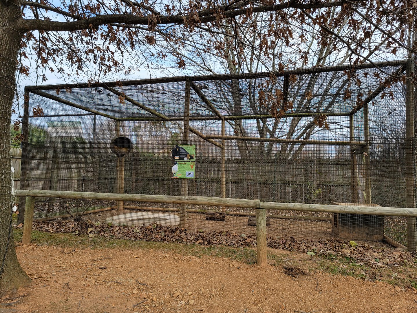 Roer's Zoofari - Signed as greater curassow, sacred ibis
