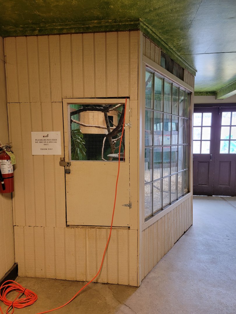 Roer's Zoofari - Sloth