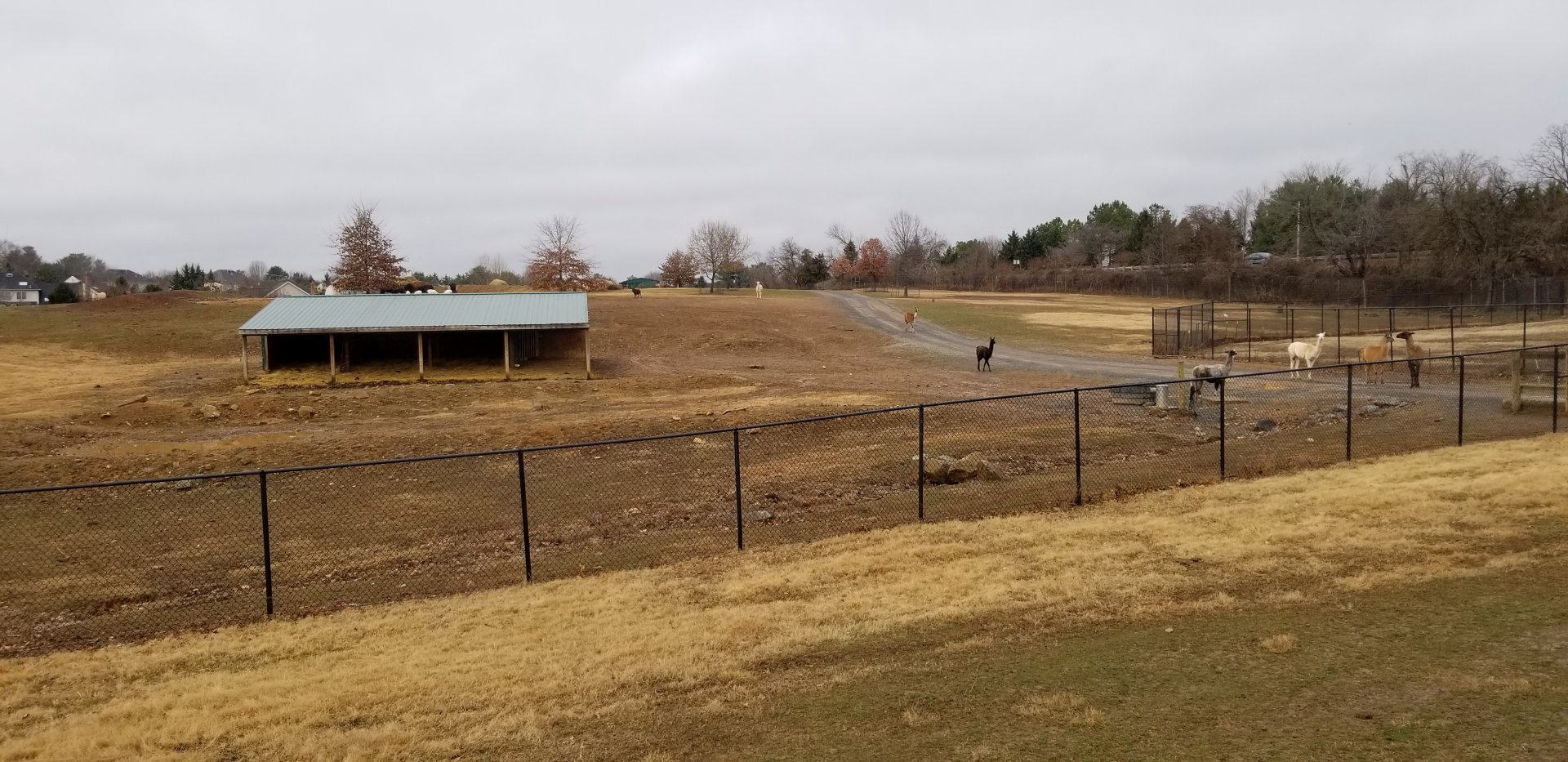 Roer's Zoofari - start of safari area