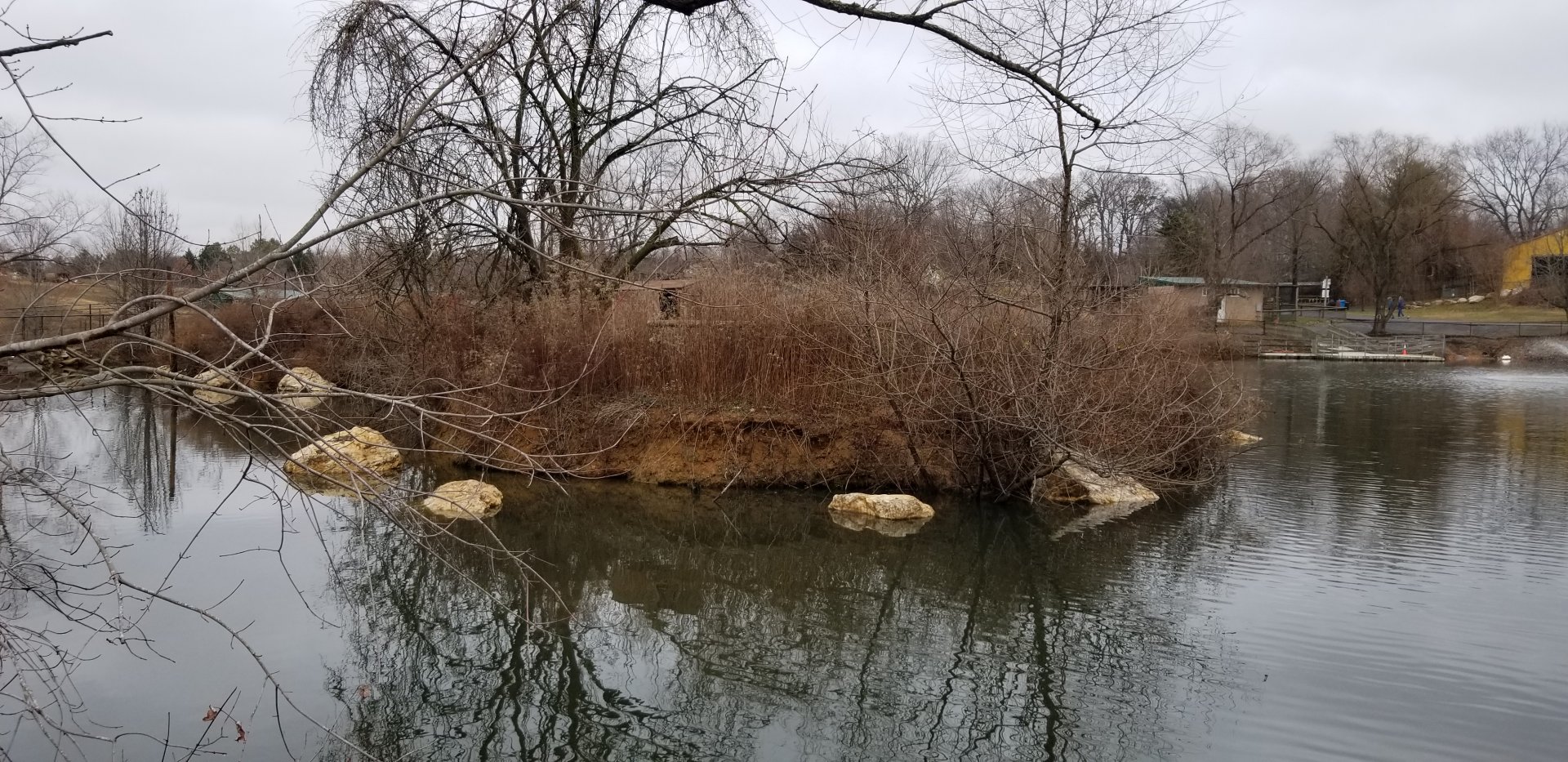 Roer's Zoofari - supposedly lemurs live here in warm weather