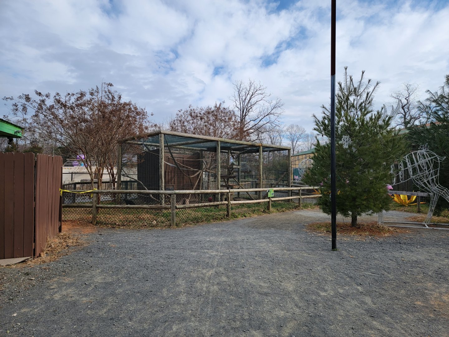 Roer's Zoofari - Tayra