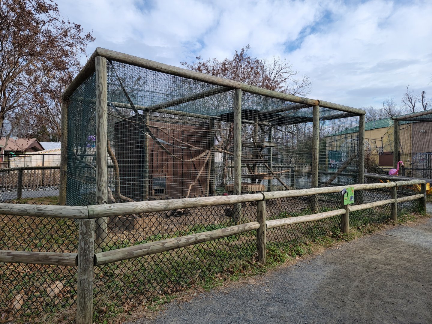 Roer's Zoofari - Tayra