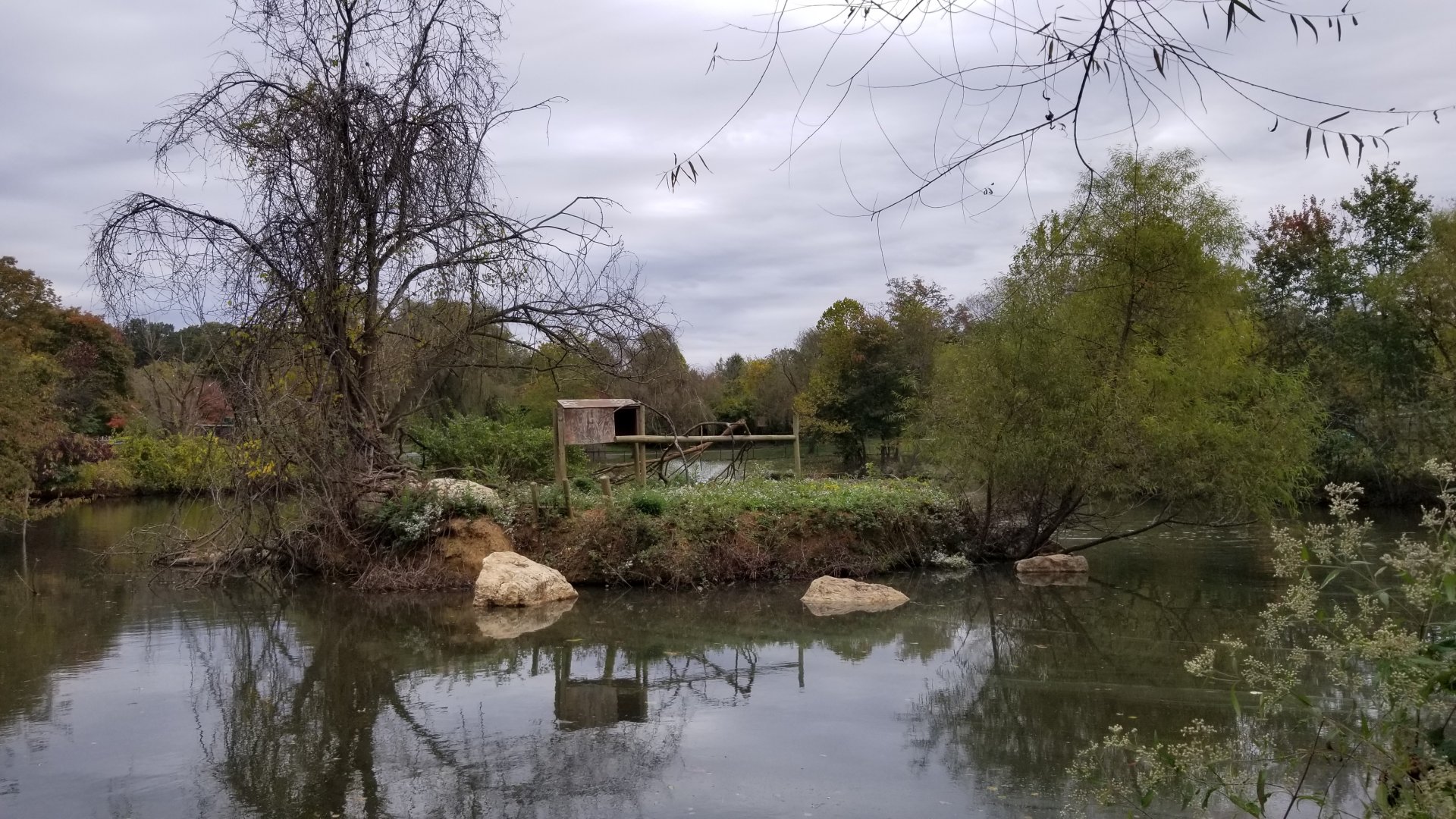 Roer's Zoofari - Unused (?) primate island