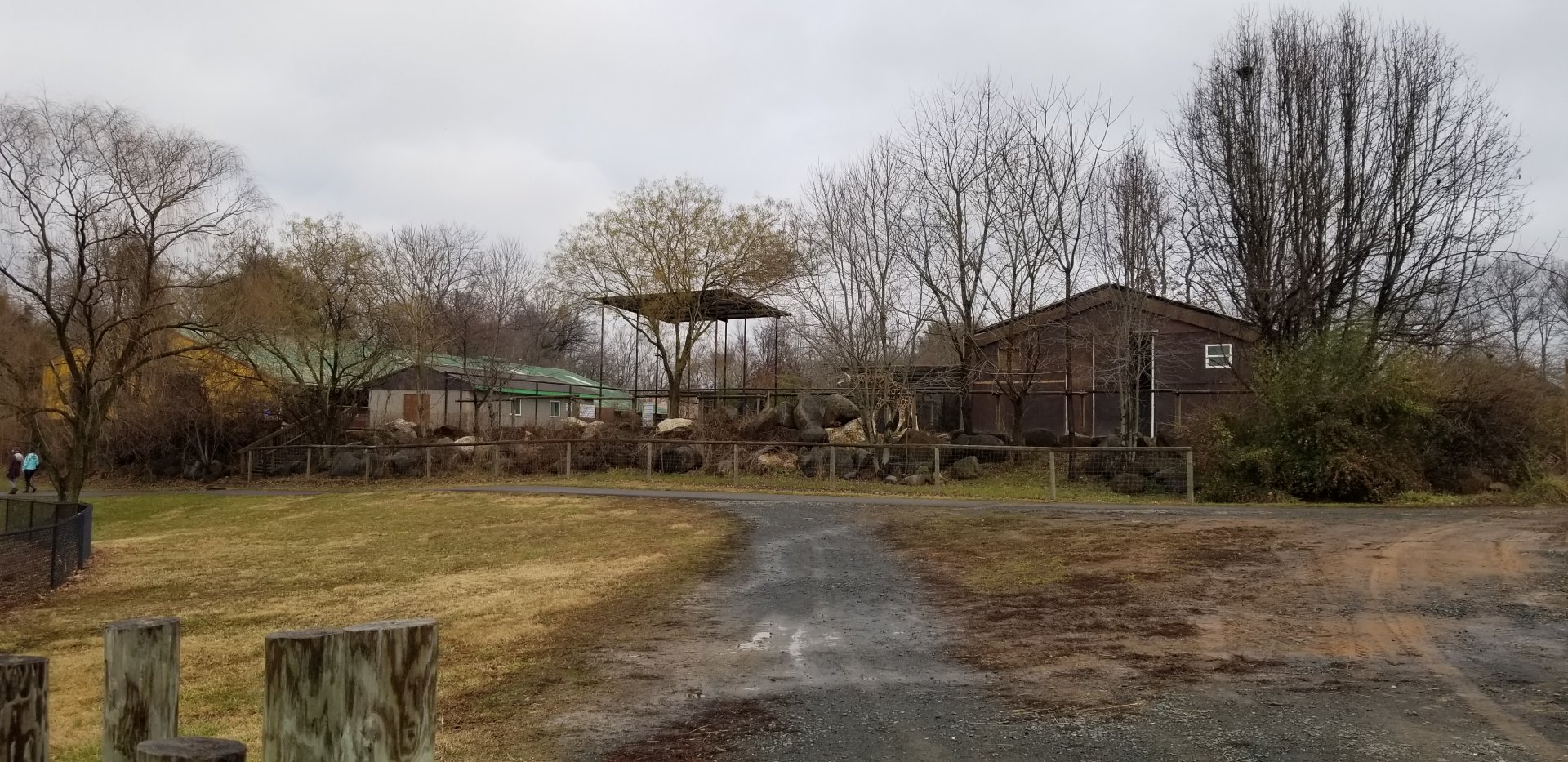 Roer's Zoofari - view of back of giraffe yard
