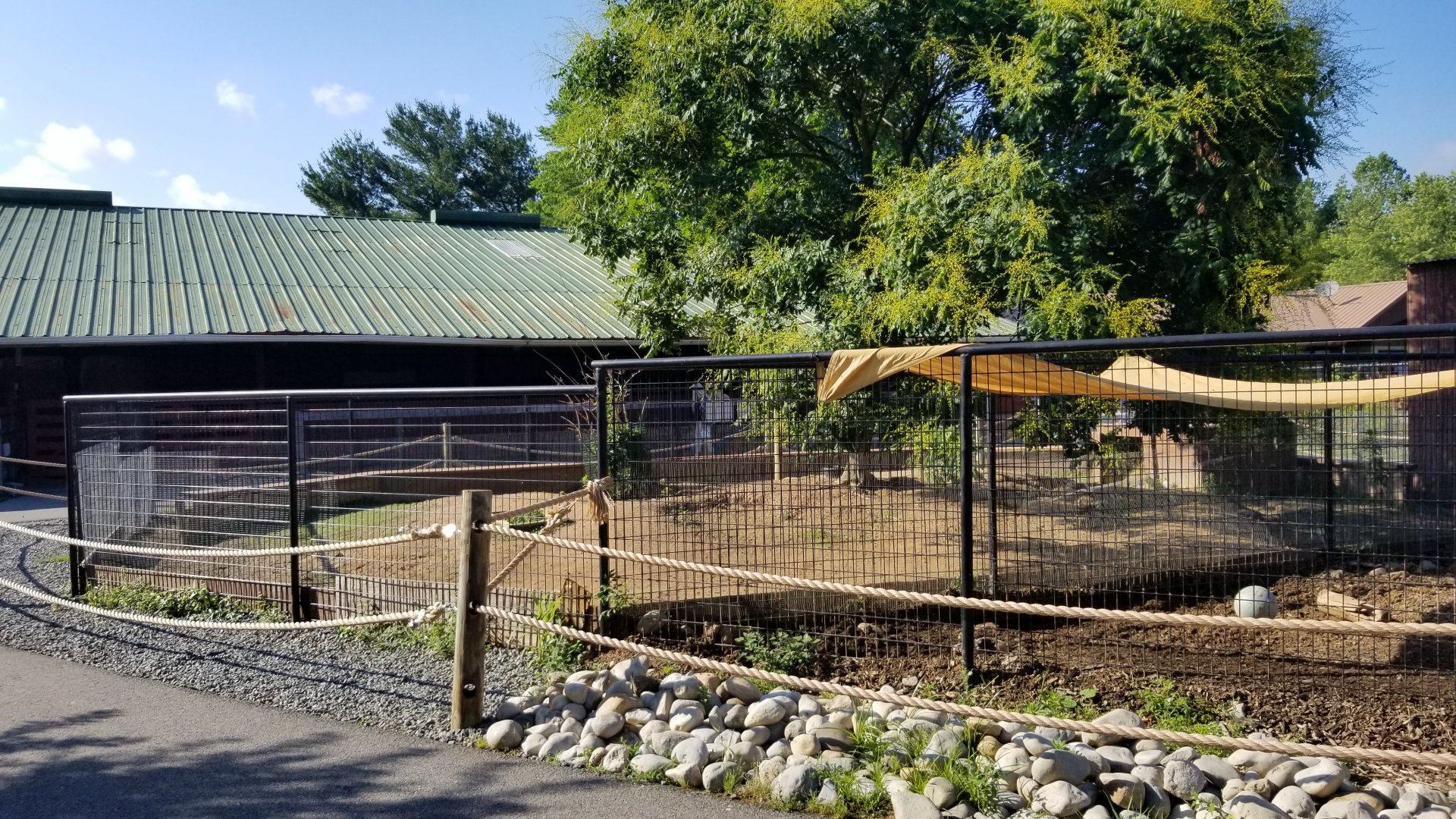 Roer's Zoofari - Warthogs on right, patagonian mara behind