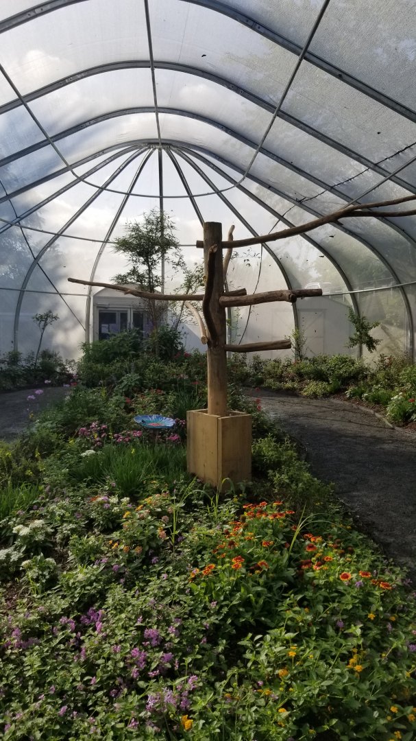 Roer's Zoofari - Wings of Wonder butterfly house