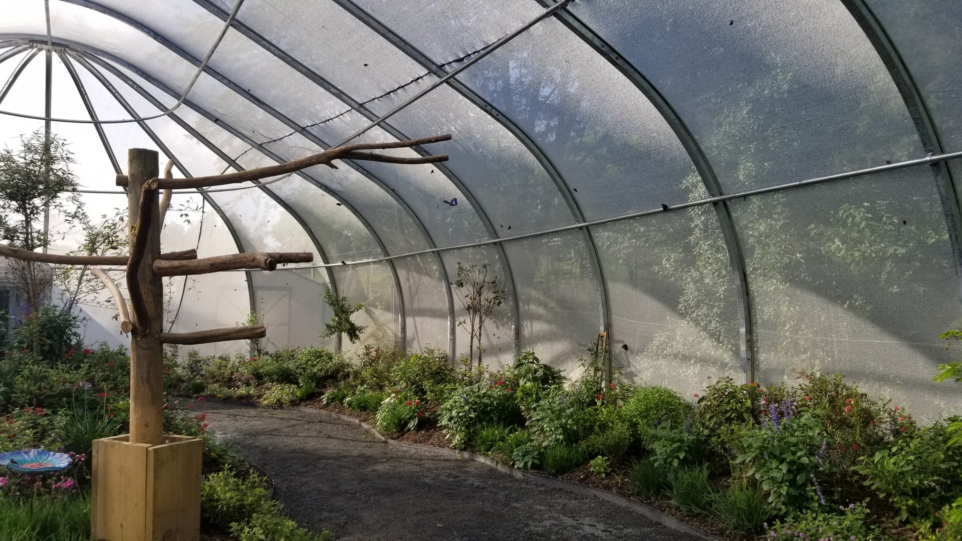 Roer's Zoofari - Wings of Wonder butterfly house