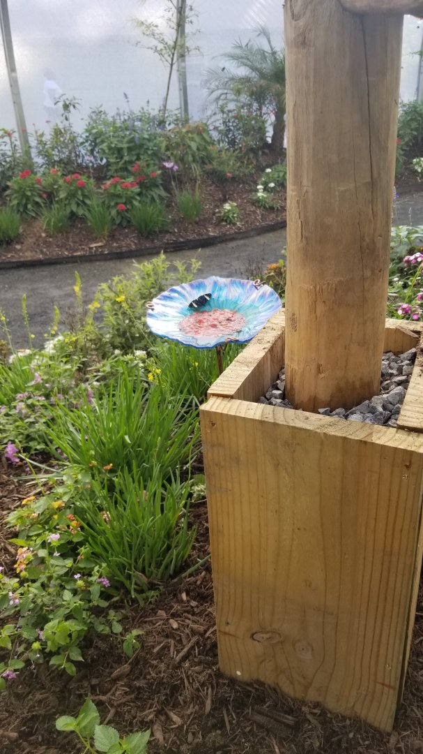 Roer's Zoofari - Wings of Wonder butterfly house