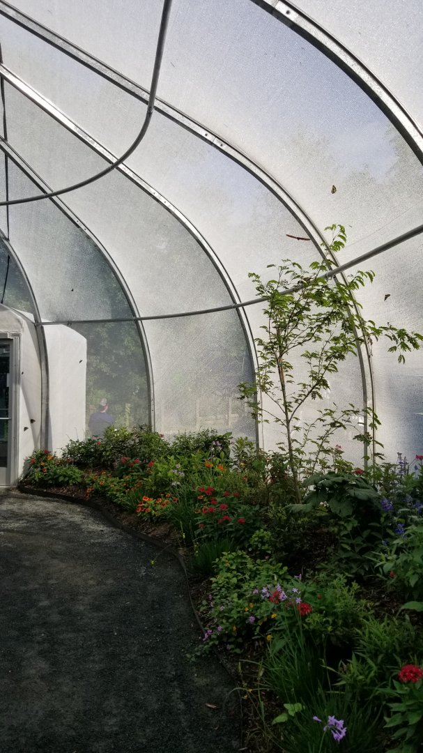 Roer's Zoofari - Wings of Wonder butterfly house