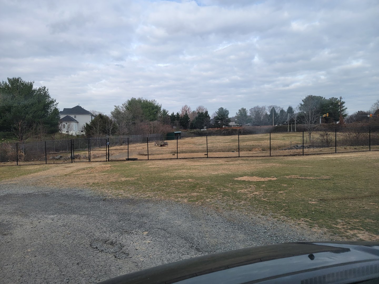 Roer's Zoofari - Zebras