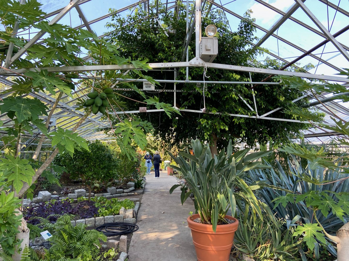 Roger Williams Park Zoo - Botanical Gardens