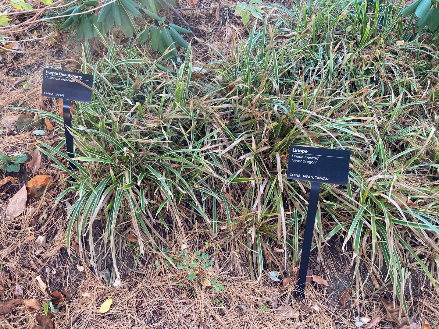 Roger Williams Park Zoo - Botanical Gardens