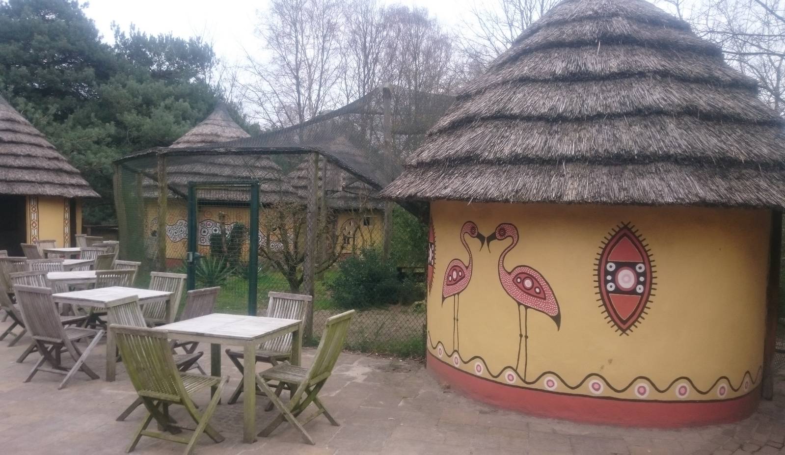 Roller - Thick-knee aviary