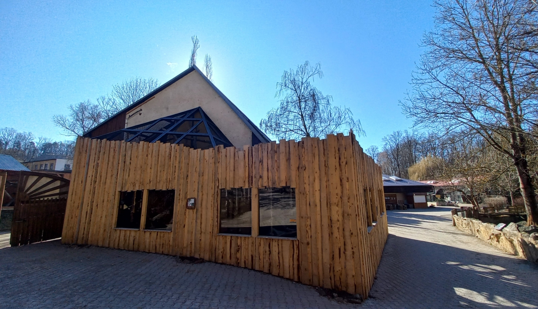 Roloway monkey exhibit