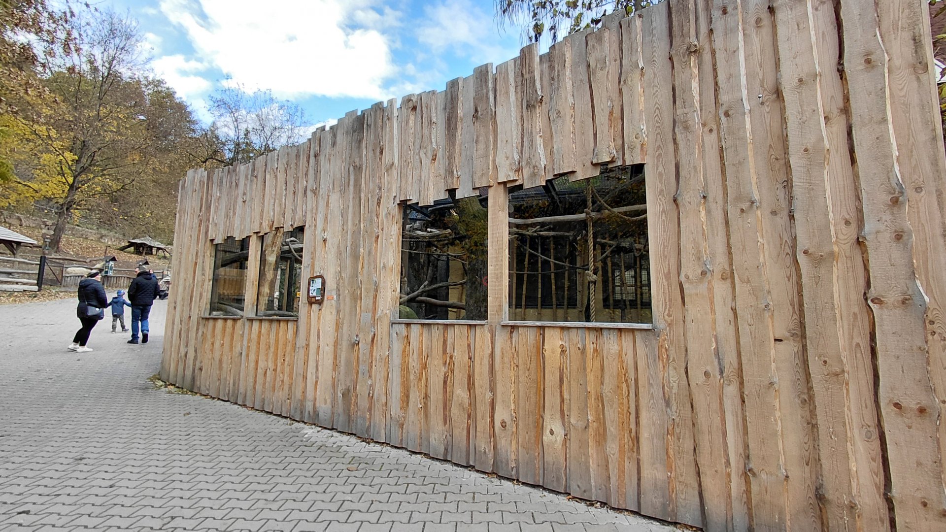 Roloway monkey exhibit