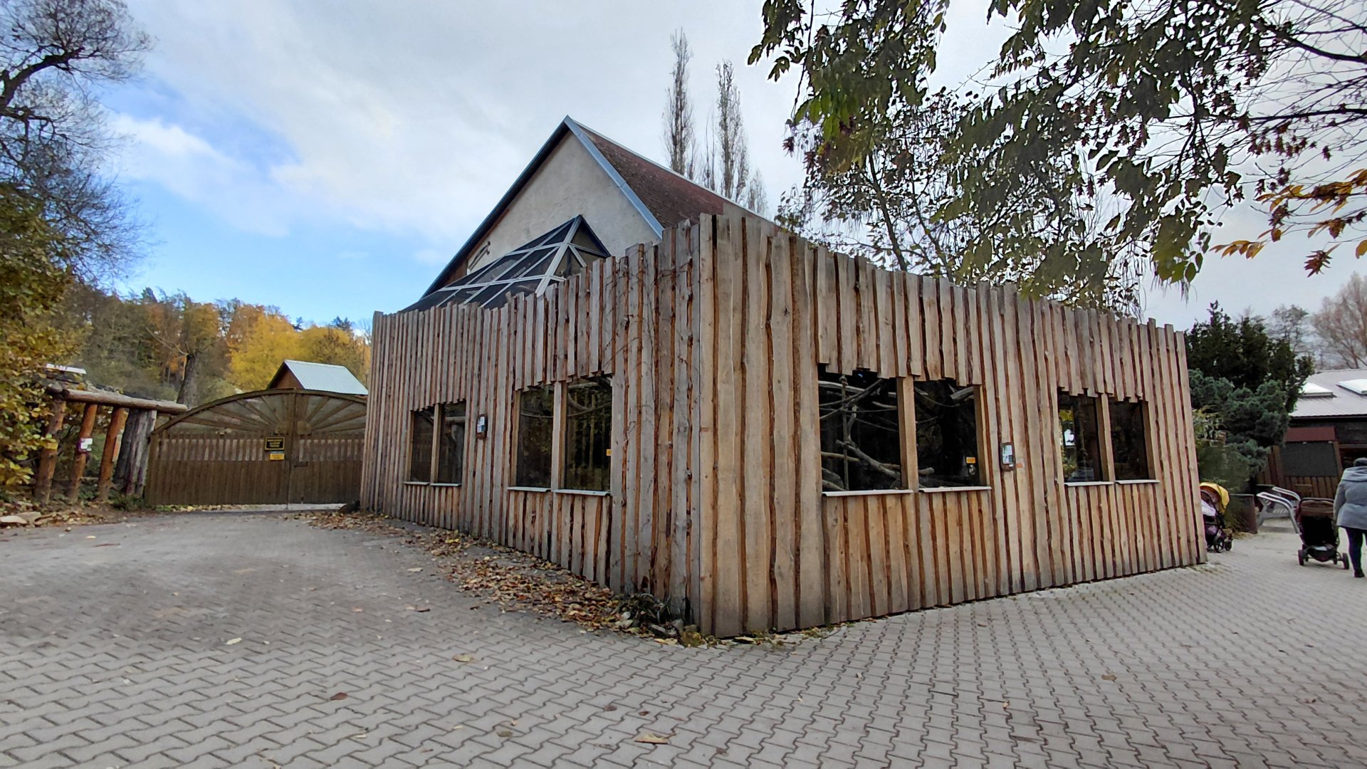 Roloway monkey exhibit