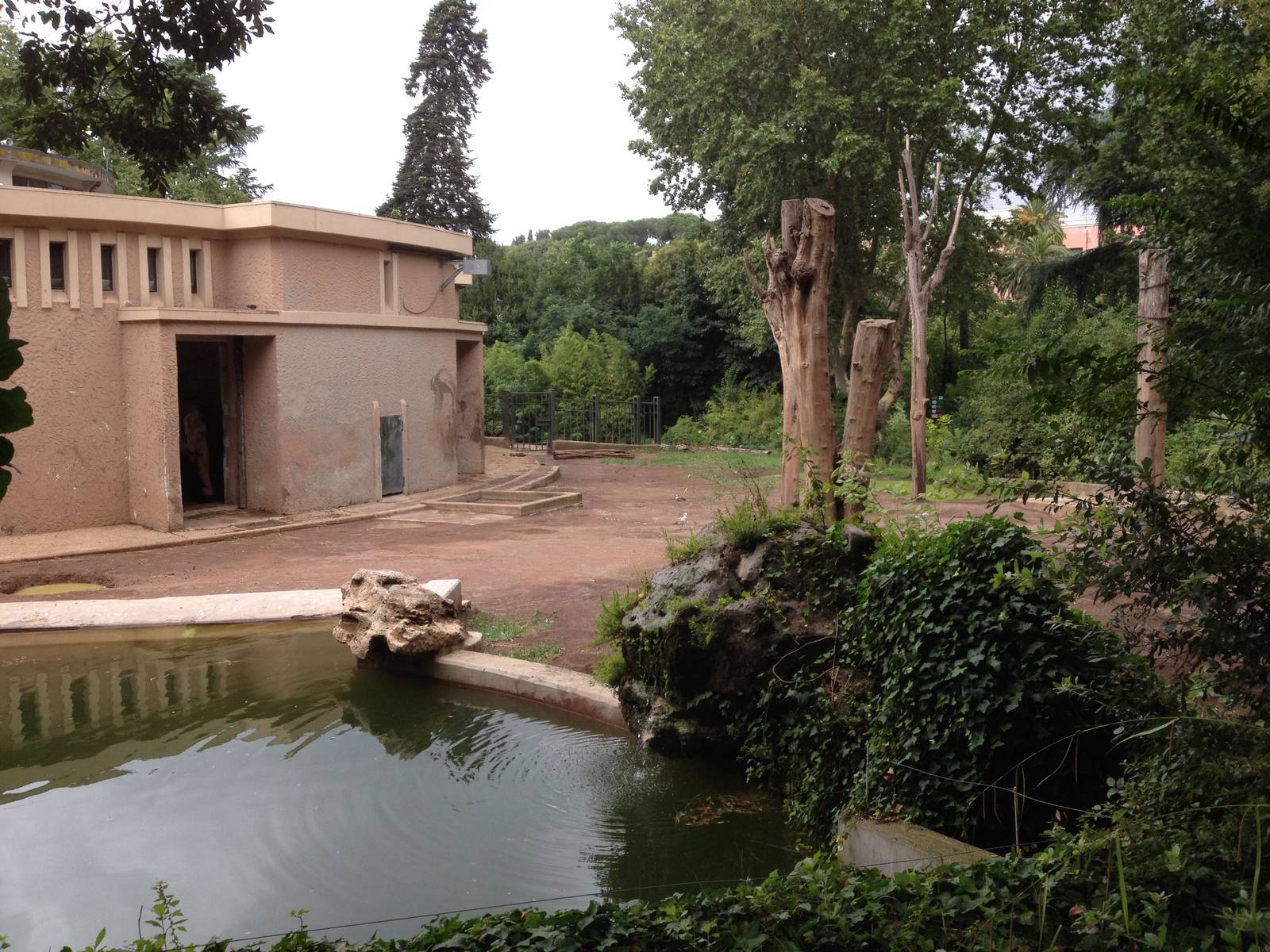 Rome Zoo Asian Elephant Exhibit