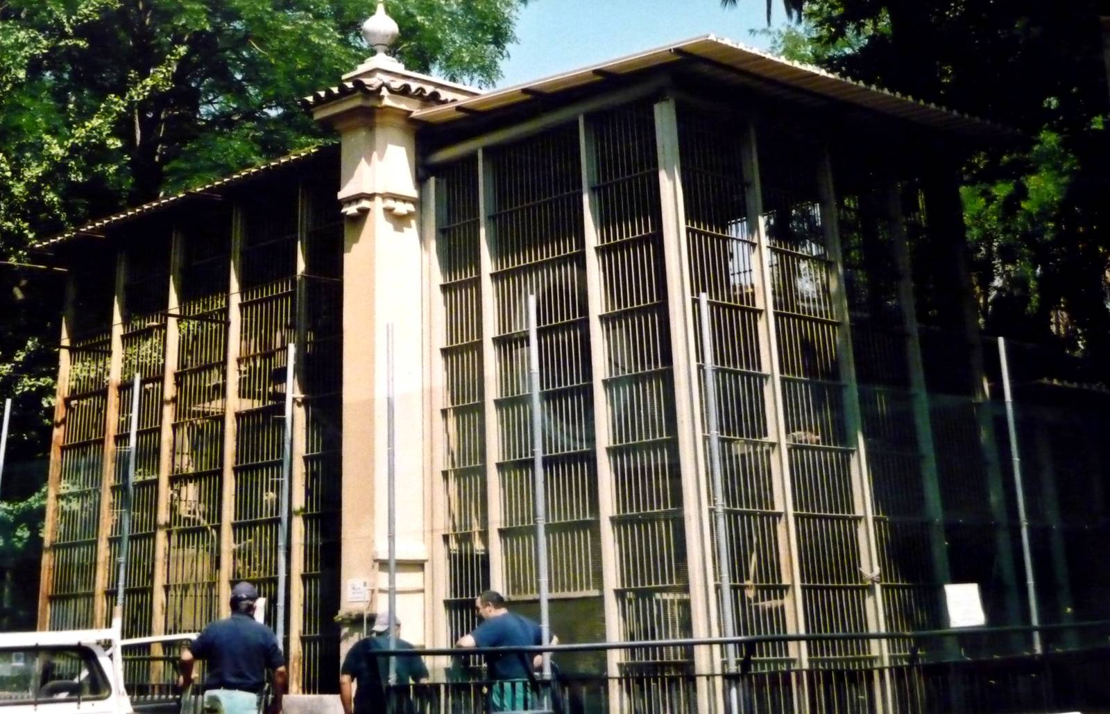 Rome Zoo Gorilla cage