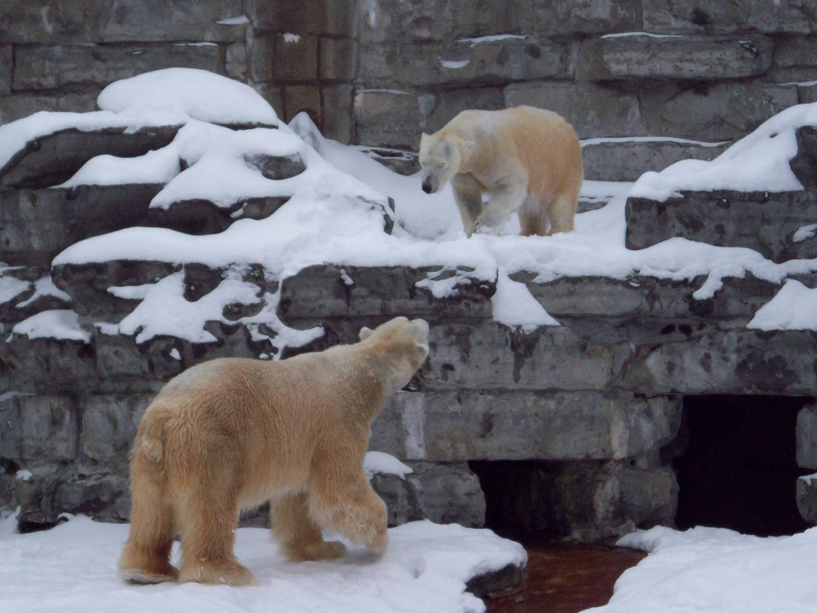 Romeo & Juliet Balcony Scene