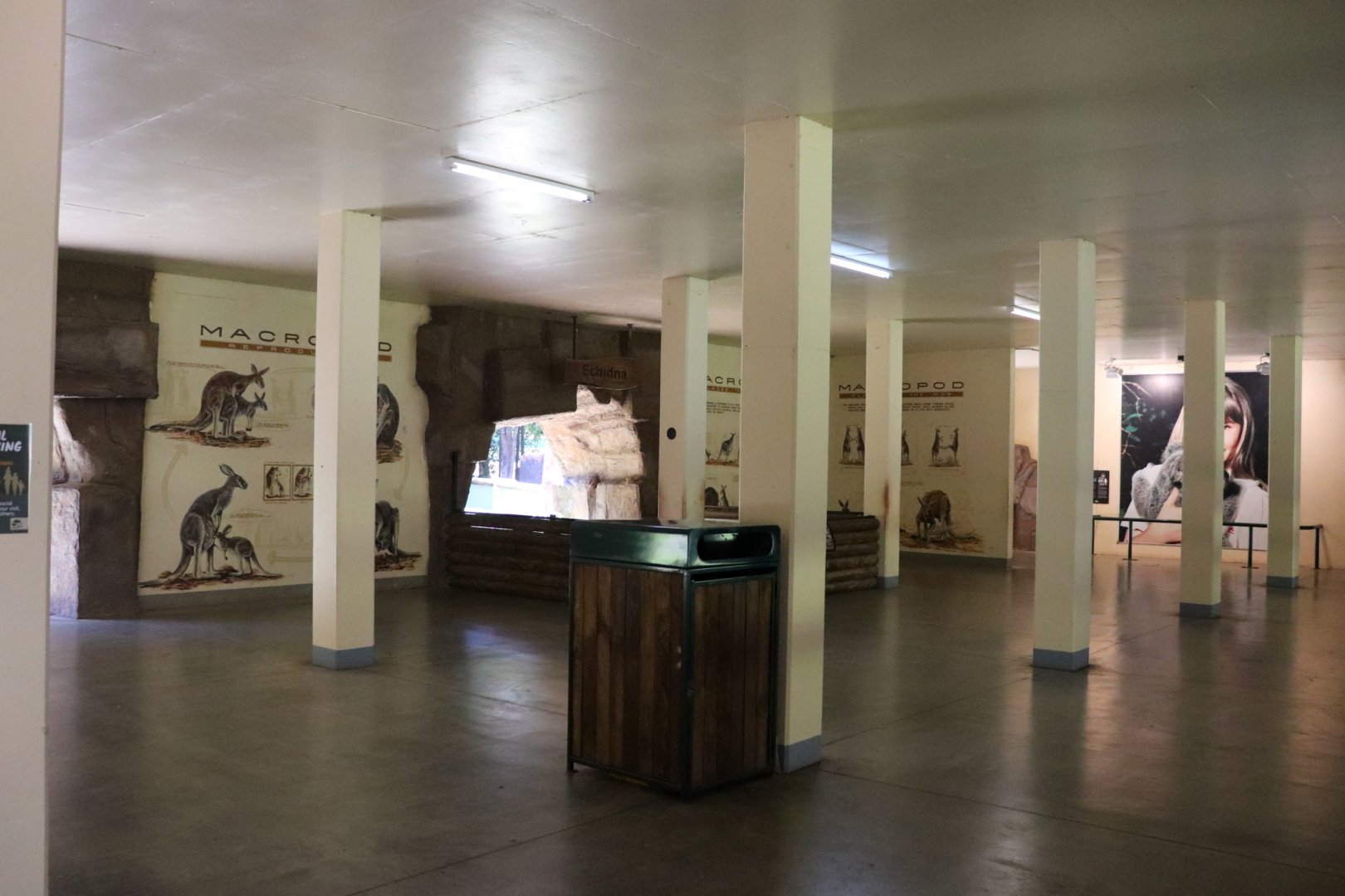 Roo Heaven - Indoor Echidna Area