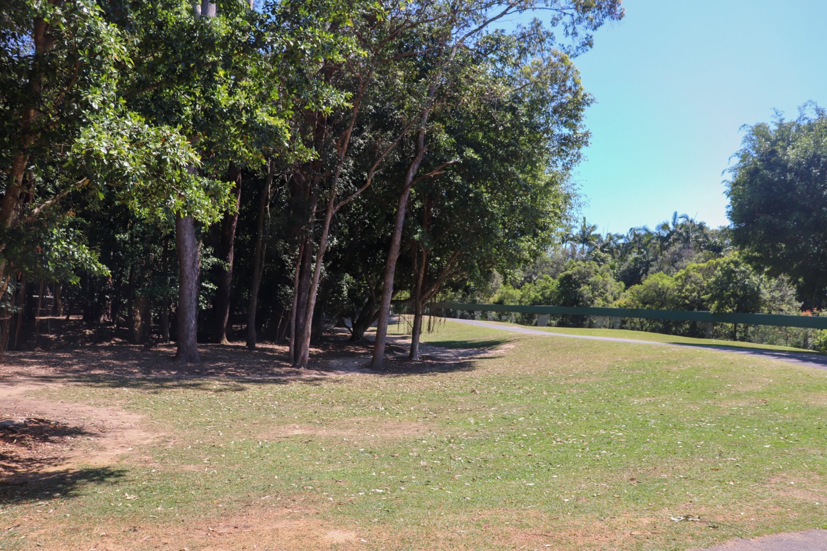 Roo Heaven - Macropod Walkthrough Enclosure