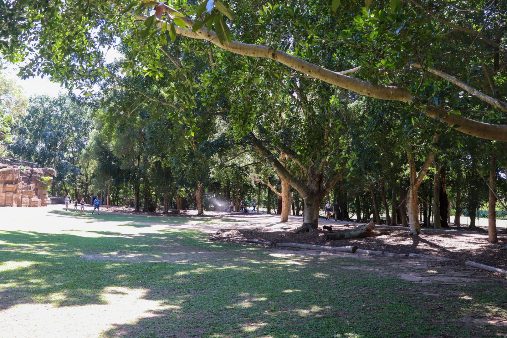 Roo Heaven - Macropod Walkthrough Enclosure