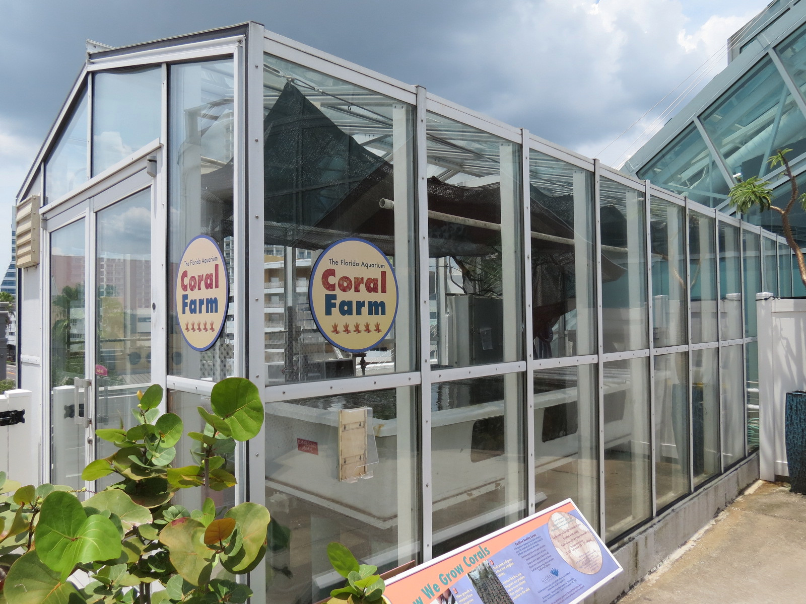 Roof Deck - Coral Farm