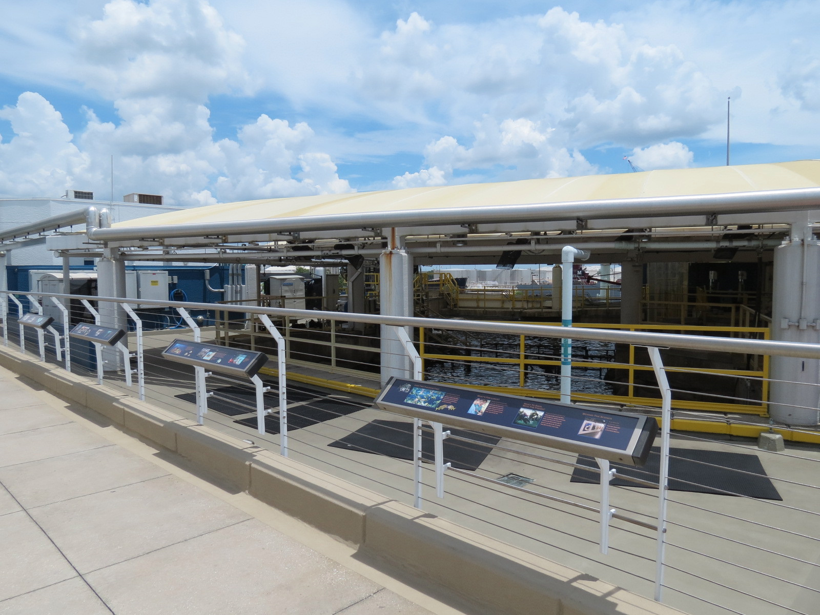Roof Deck - View Of Top Surface Of Coral Reef
