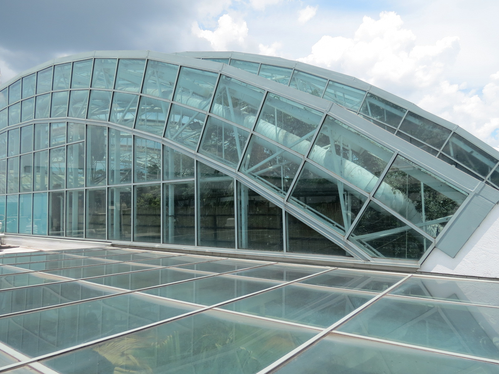Roof Deck View of Wetlands Trail Skylit Roof
