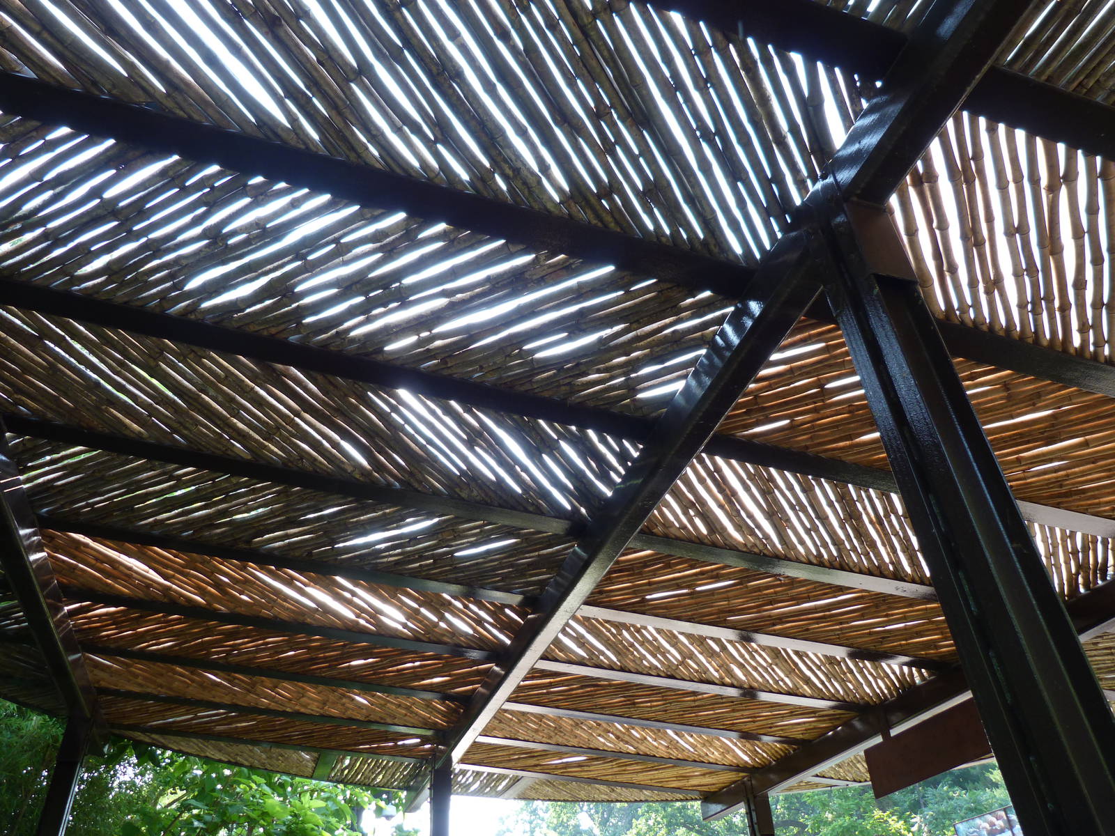 Roof Design in Asia Trail