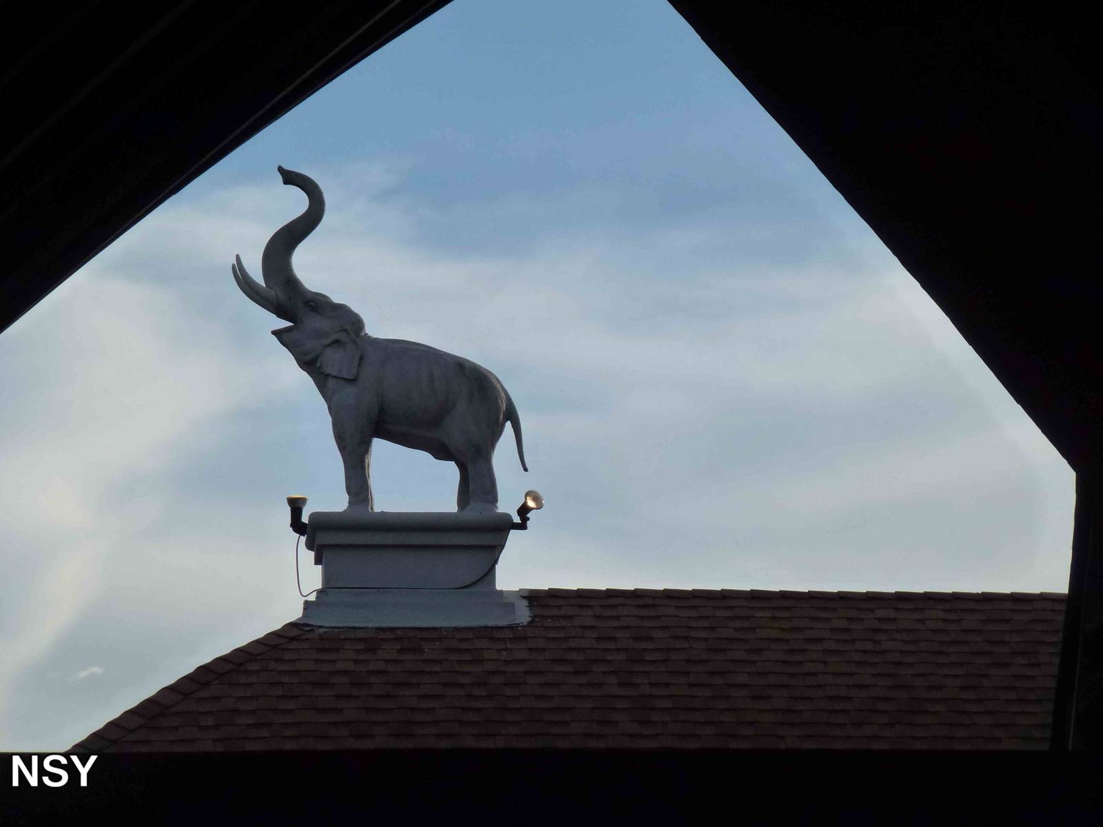 Roof design, June 2013.