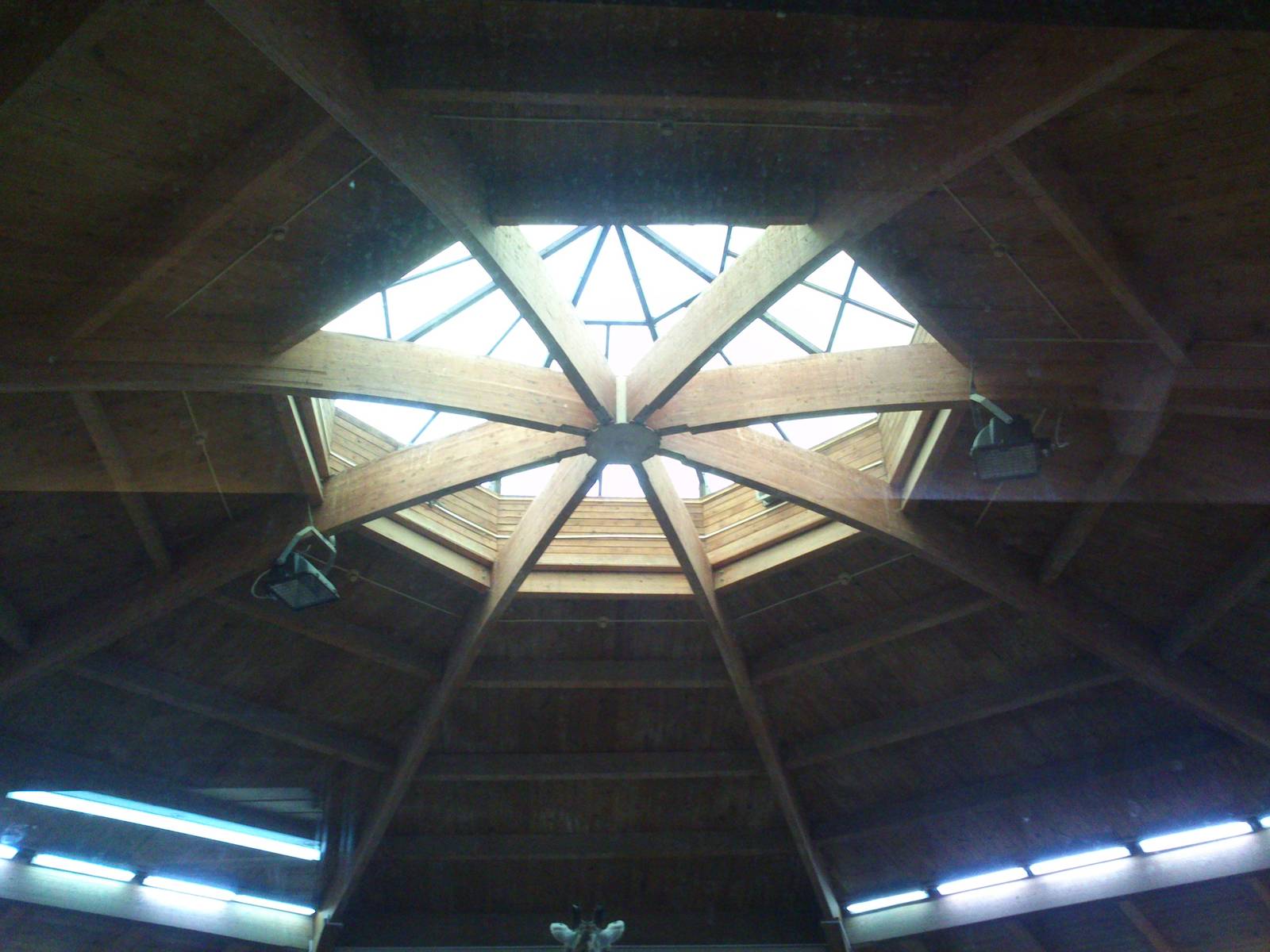 Roof in the 'African ungulates house'