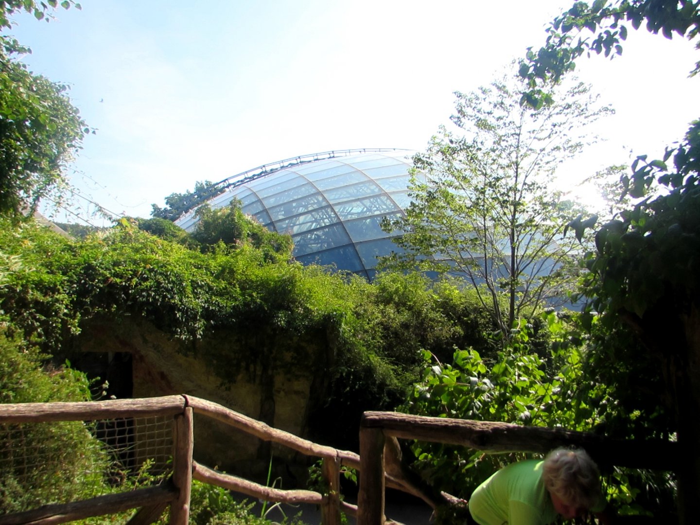 Roof of the Indonesian Jungle Pavilion - July/2017