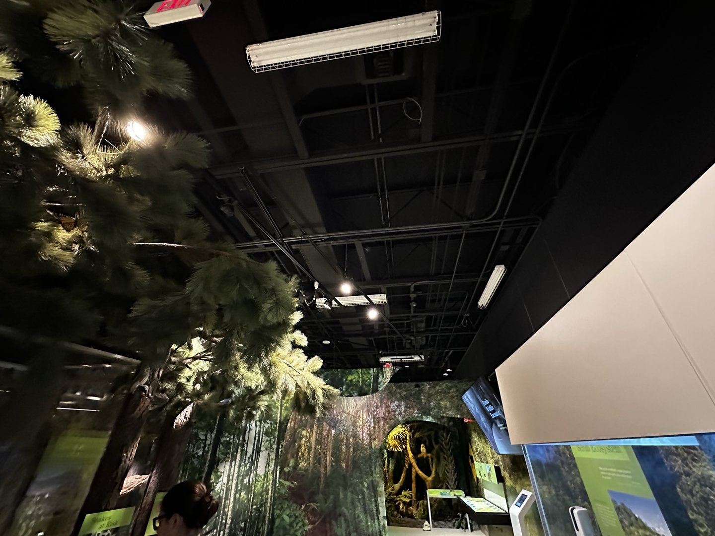 Roof of the Indoor Building