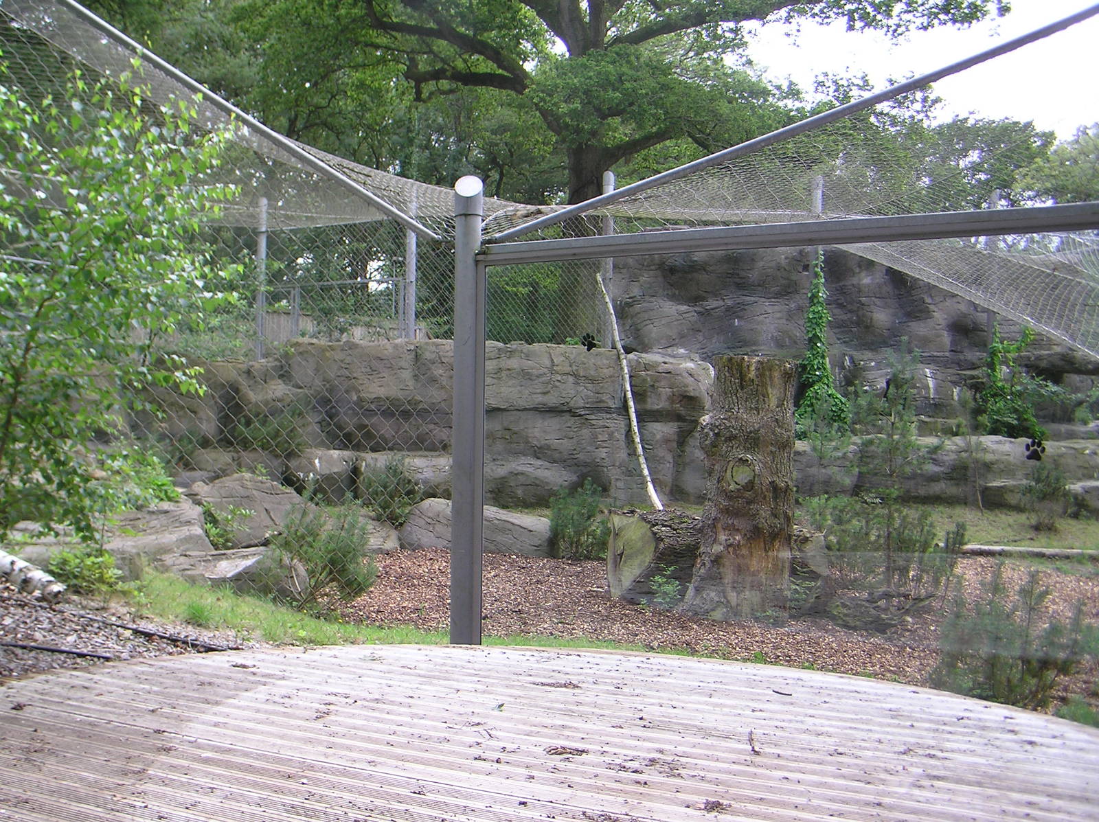 Roof of the World - Left Side