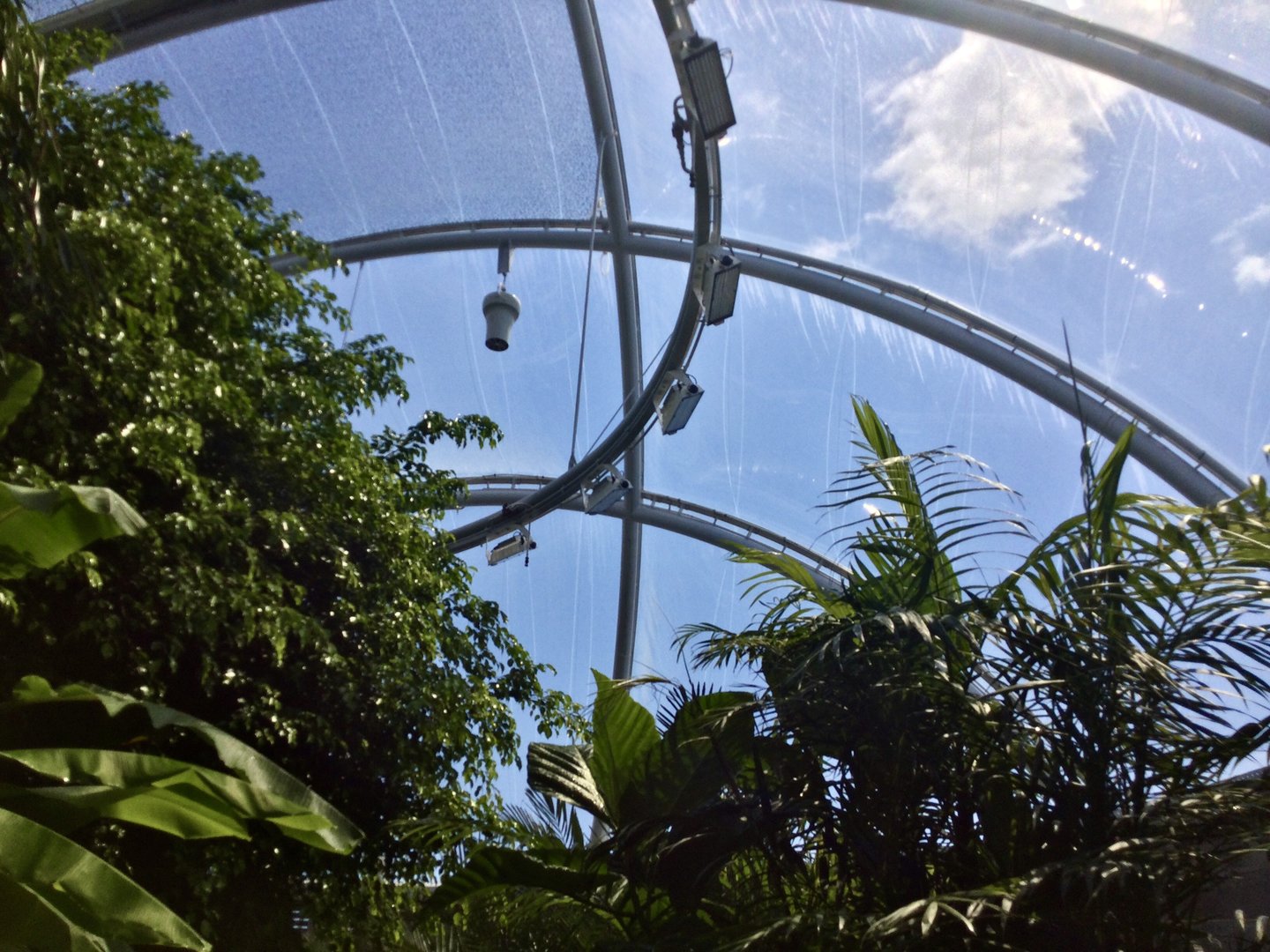 Roof of Tropical Dome
